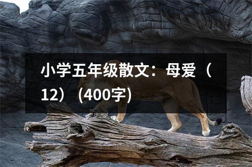 小學(xué)五年級(jí)散文：母愛(ài)（12） (400字)