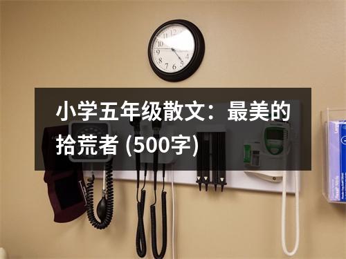 小學(xué)五年級(jí)散文：最美的拾荒者 (500字)
