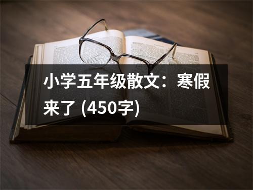 小學(xué)五年級散文：寒假來了 (450字)