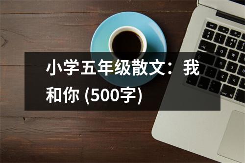 小學(xué)五年級散文：我和你 (500字)
