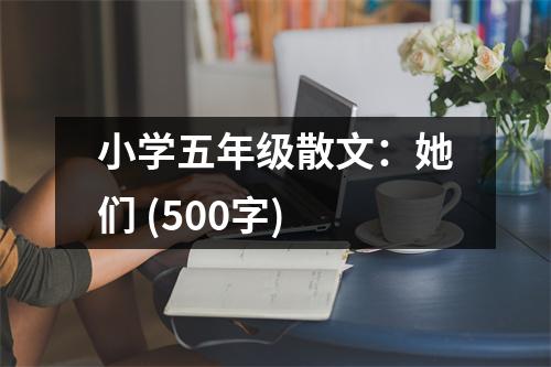 小學(xué)五年級散文：她們 (500字)