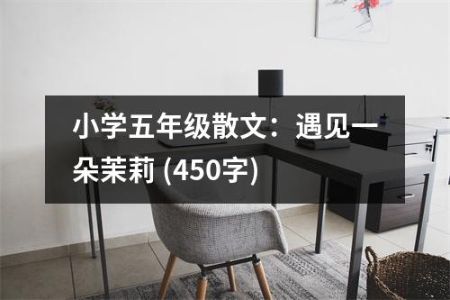 小學(xué)五年級散文：遇見一朵茉莉 (450字)