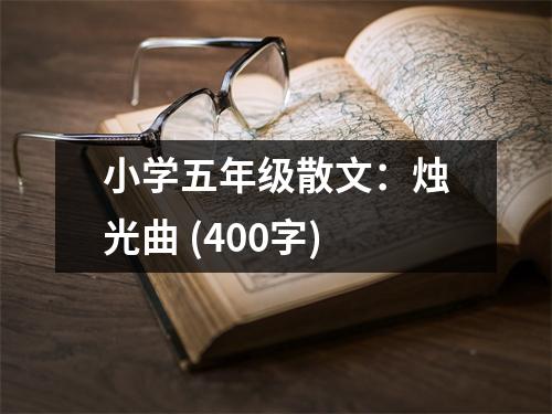小學(xué)五年級散文：燭光曲 (400字)