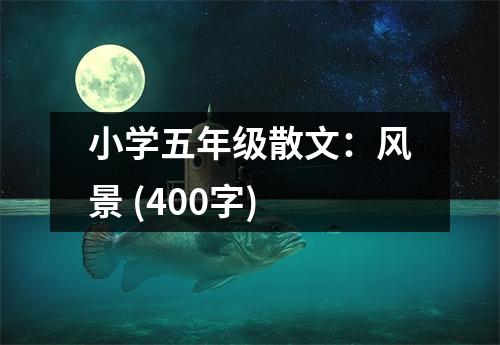 小學(xué)五年級散文：風(fēng)景 (400字)