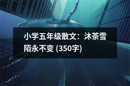 小學(xué)五年級散文：沐茶雪陌永不變 (350字)