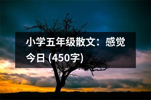小學(xué)五年級散文：感覺今日 (450字)