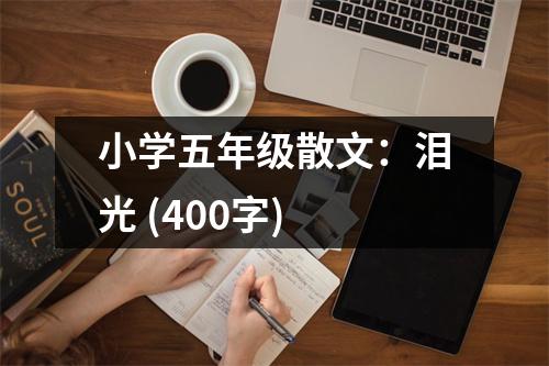 小學(xué)五年級散文：淚光 (400字)