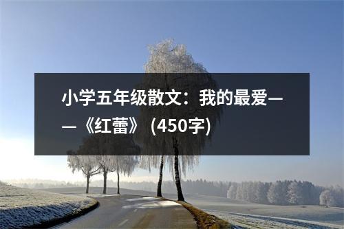小學(xué)五年級散文：我的最愛——《紅蕾》 (450字)