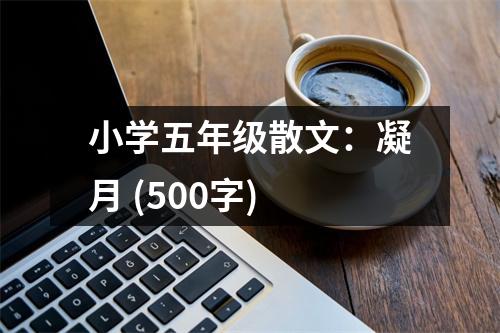 小學(xué)五年級散文：凝月 (500字)