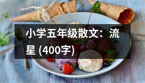 小學(xué)五年級散文：流星 (400字)