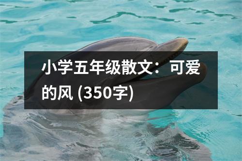 小學(xué)五年級散文：可愛的風(fēng) (350字)