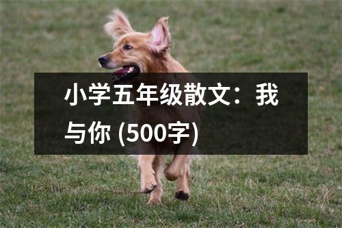 小學(xué)五年級散文：我與你 (500字)