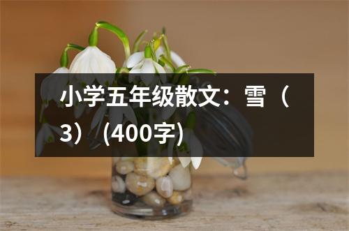 小學(xué)五年級散文：雪（3） (400字)