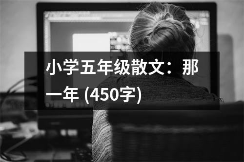 小學(xué)五年級(jí)散文：那一年 (450字)