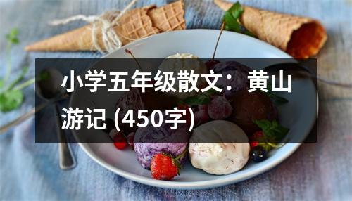 小學(xué)五年級(jí)散文：黃山游記 (450字)