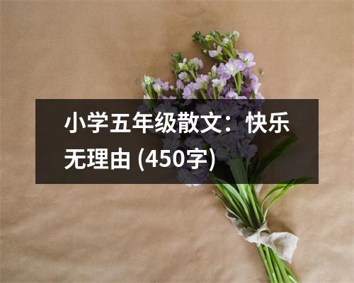 小學(xué)五年級(jí)散文：快樂無理由 (450字)
