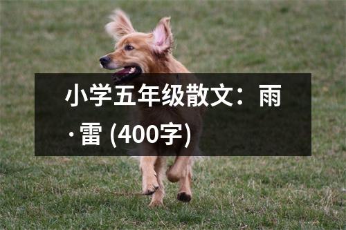 小學五年級散文：雨·雷 (400字)