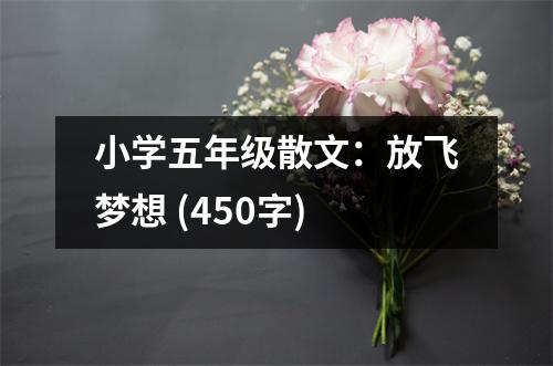 小學五年級散文：放飛夢想 (450字)