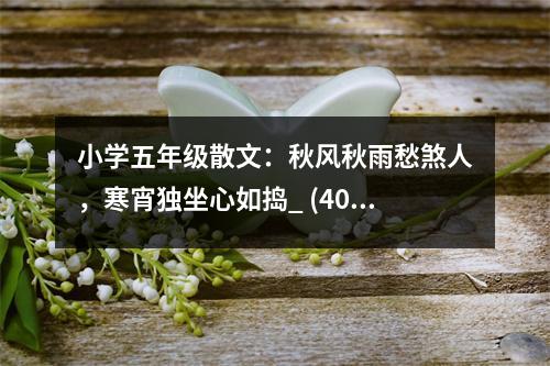 小學五年級散文：秋風秋雨愁煞人，寒宵獨坐心如搗_ (400字)