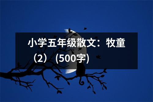 小學五年級散文：牧童（2） (500字)