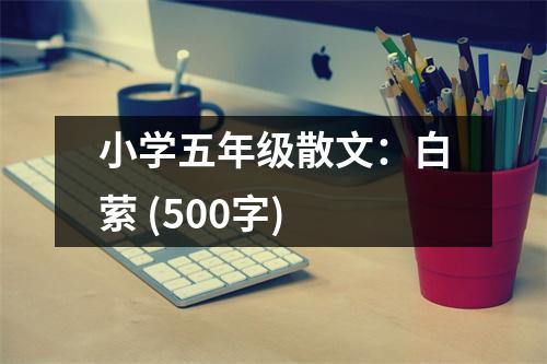 小學五年級散文：白縈 (500字)