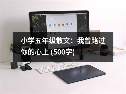 小學五年級散文：我曾路過你的心上 (500字)