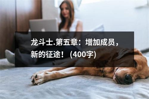 龍斗士.第五章：增加成員，新的征途！ (400字)