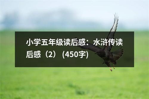 小學(xué)五年級(jí)讀后感：水滸傳讀后感（2） (450字)