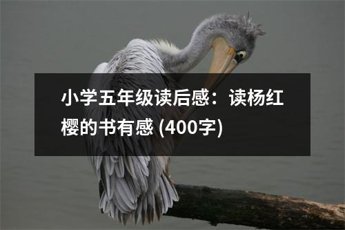 小學(xué)五年級讀后感：讀楊紅櫻的書有感 (400字)