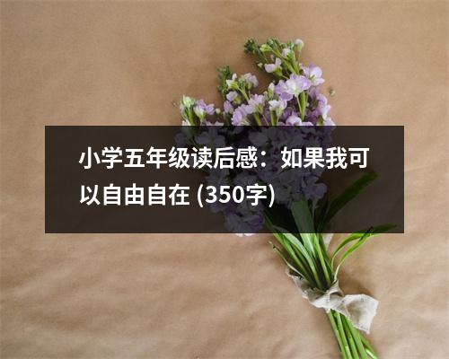 小學五年級讀后感：如果我可以自由自在 (350字)