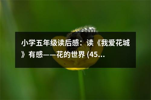 小學(xué)五年級(jí)讀后感：讀《我愛花城》有感——花的世界 (450字)