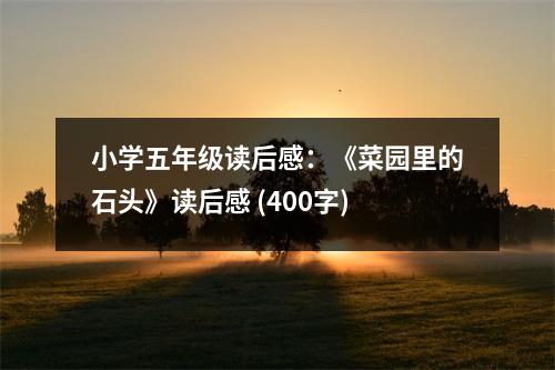 小學(xué)五年級(jí)讀后感：《菜園里的石頭》讀后感 (400字)