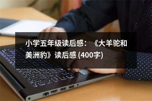 小學(xué)五年級(jí)讀后感：《大羊駝和美洲豹》讀后感 (400字)