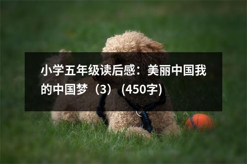 小學(xué)五年級讀后感：美麗中國我的中國夢（3） (450字)