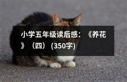 小學(xué)五年級讀后感：《養(yǎng)花》（四） (350字)