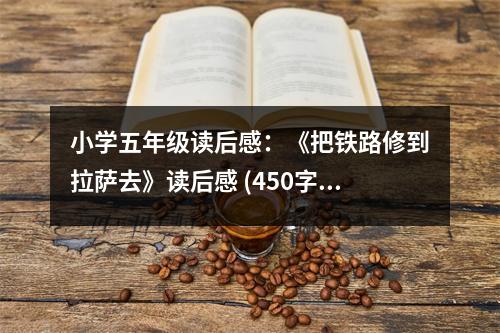 小學(xué)五年級(jí)讀后感：《把鐵路修到拉薩去》讀后感 (450字)