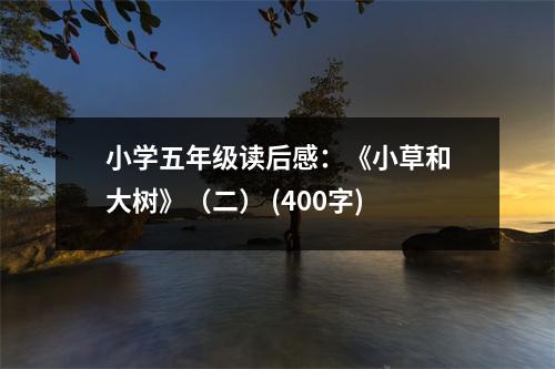 小學(xué)五年級(jí)讀后感：《小草和大樹》（二） (400字)