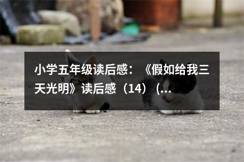 小學五年級讀后感：《假如給我三天光明》讀后感（14） (400字)