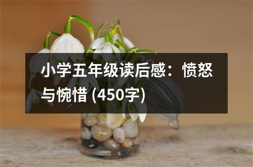 小學(xué)五年級(jí)讀后感：憤怒與惋惜 (450字)