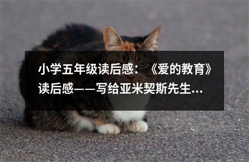 小學(xué)五年級讀后感：《愛的教育》讀后感——寫給亞米契斯先生的一封信 (500字)