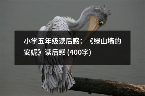 小學(xué)五年級(jí)讀后感：《綠山墻的安妮》讀后感 (400字)
