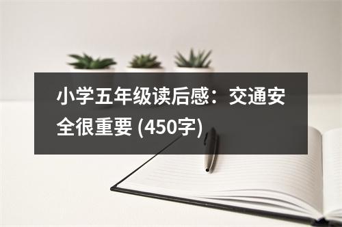 小學(xué)五年級讀后感：交通安全很重要 (450字)