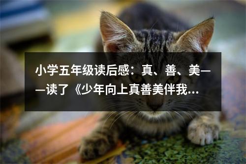 小學(xué)五年級讀后感：真、善、美——讀了《少年向上真善美伴我行》有感 (450字)
