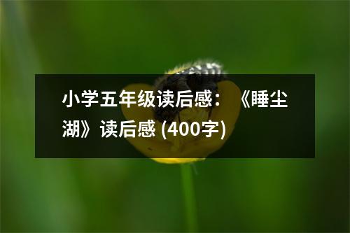 小學(xué)五年級讀后感：《睡塵湖》讀后感 (400字)