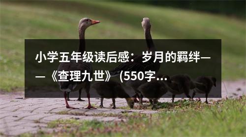 小學五年級讀后感：歲月的羈絆——《查理九世》 (550字)