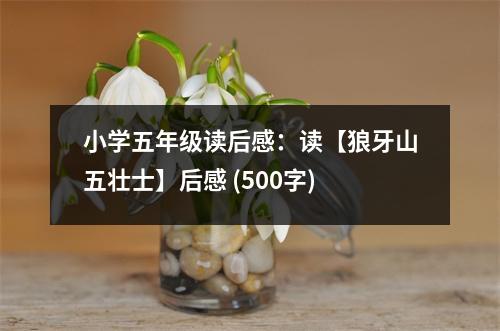 小學(xué)五年級(jí)讀后感：讀【狼牙山五壯士】后感 (500字)