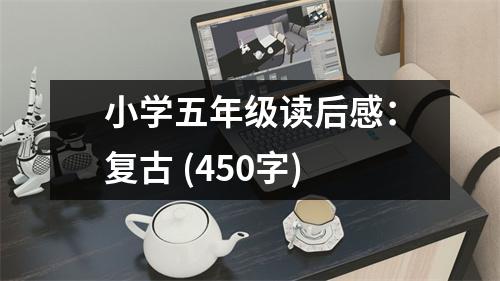 小學(xué)五年級讀后感：復(fù)古 (450字)