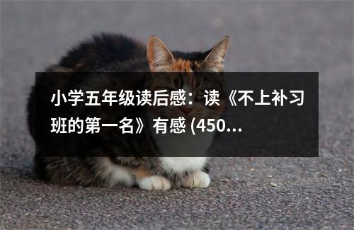 小學(xué)五年級(jí)讀后感：讀《不上補(bǔ)習(xí)班的第一名》有感 (450字)