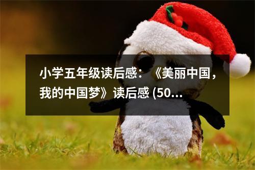 小學(xué)五年級(jí)讀后感：《美麗中國(guó)，我的中國(guó)夢(mèng)》讀后感 (500字)