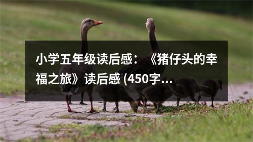 小學(xué)五年級(jí)讀后感：《豬仔頭的幸福之旅》讀后感 (450字)